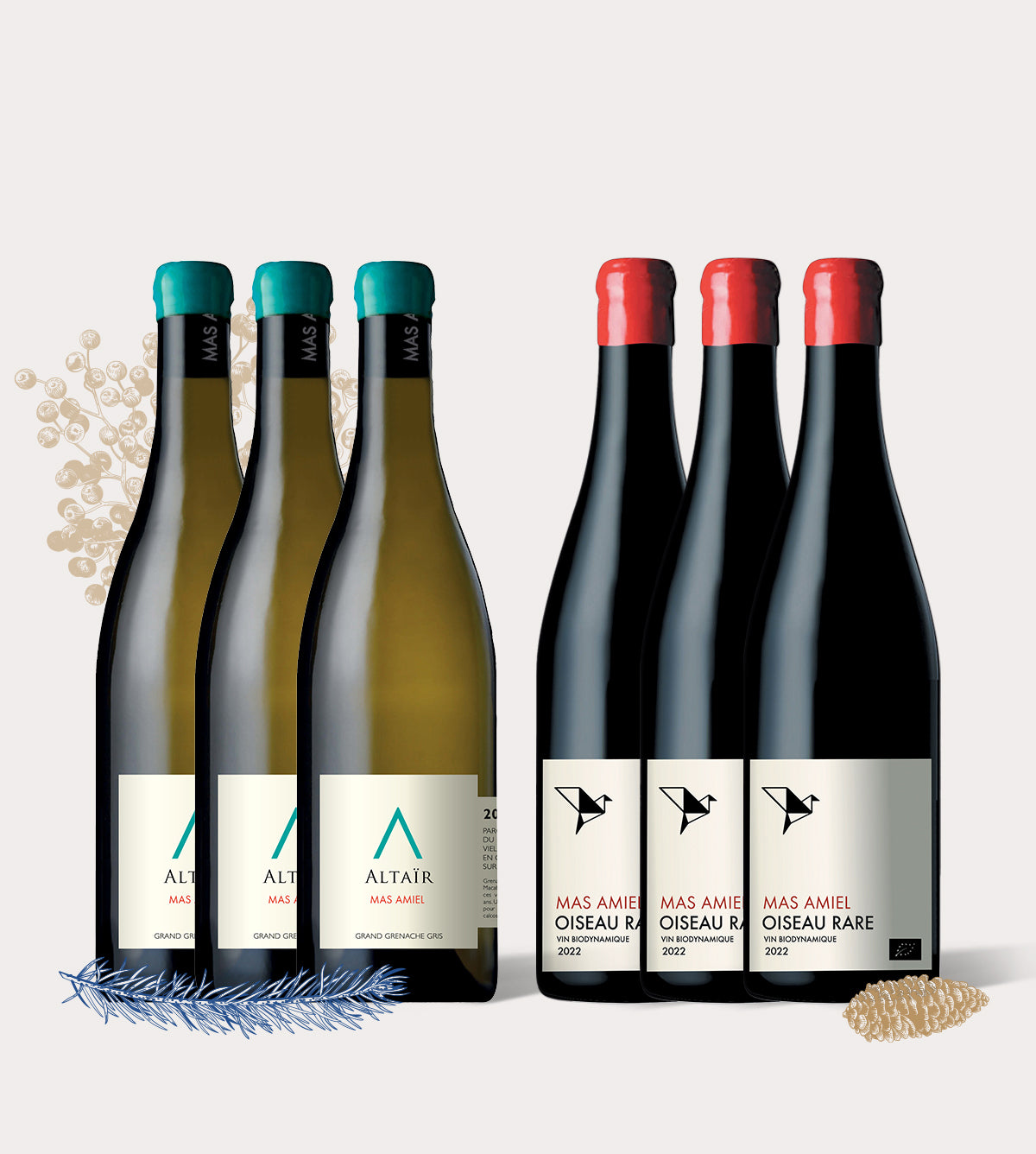 Offre Altaïr & Oiseau Rare