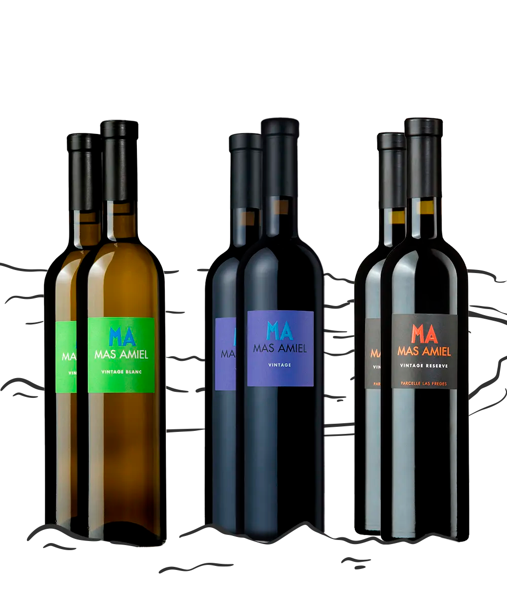Trio de Vintages