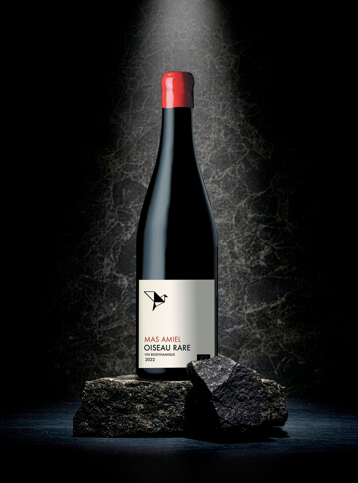 Oiseau Rare 2022