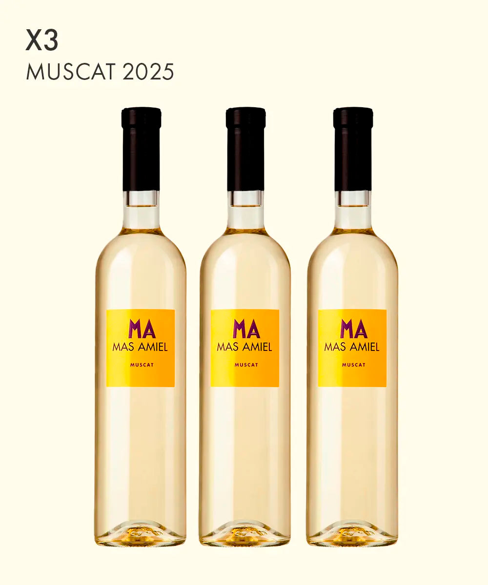 Trio de Vins Doux Naturels